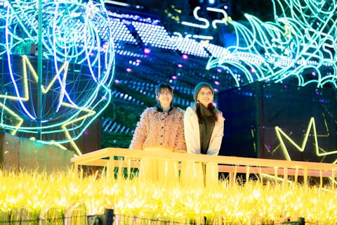 【最大200円割引】伊豆高原グランイルミWEBチケット（NIGHT）