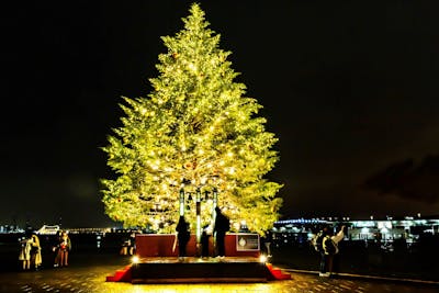 プレミアムマグカップ付優先入場】Christmas Market in 横浜