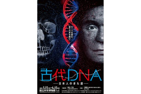 【当日券】特別展「古代DNAー日本人のきた道ー」 (国立科学博物館)