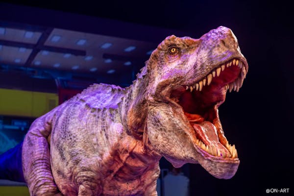 S席4枚セット券 恐竜ラボ!キング・オブ・ハンターズ from DINO S席4枚セット券 恐竜ラボ!キング・オブ・ハンターズ from DINO