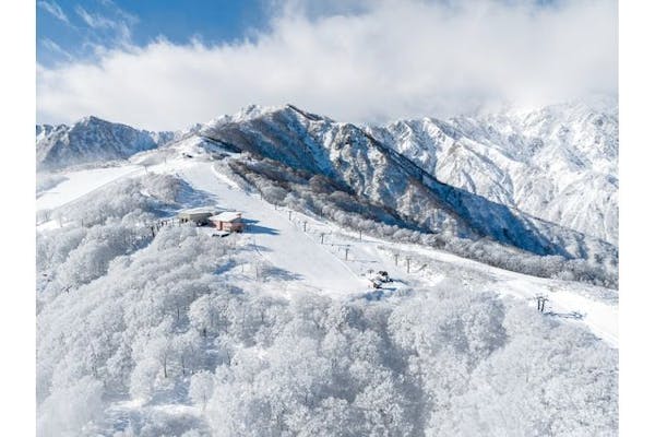 エイブル白馬五竜&hakuba47 1日券 半額券 スキー場 リフト券