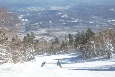 まーさん専用　えぼしスキー場　リフト券　５枚　大人　宮城県　宮城蔵王 宮城県 みやぎ蔵王えぼしリゾート 2024年12月12日（木）石子