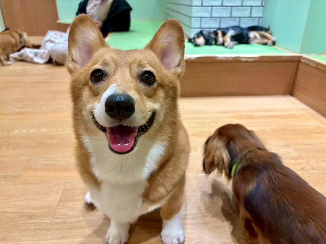 プランの写真