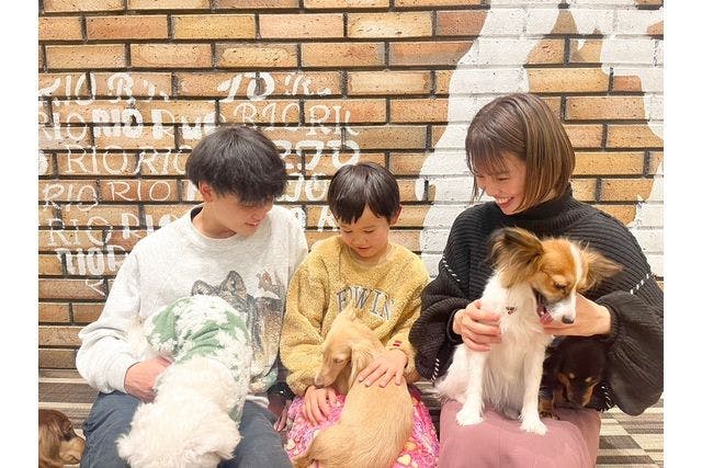 超特割！【30％割引】いぬカフェRio 鎌倉小町通り店（ドリンク飲み放題＋犬おやつ付き）入場チケット