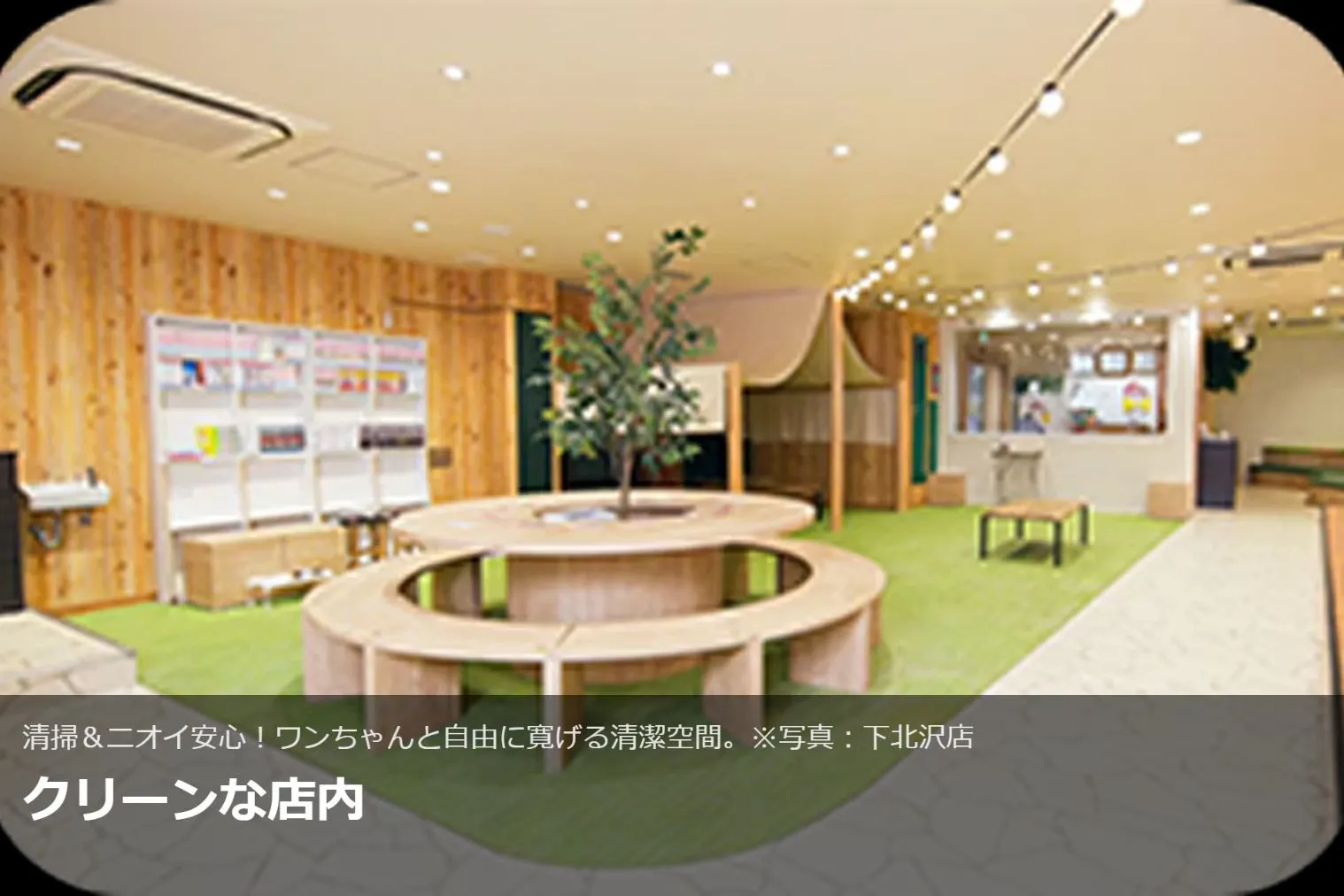 犬 カフェ 吉祥寺
