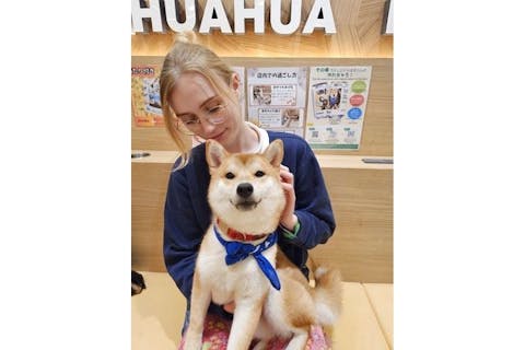 いぬカフェRio 池袋店の写真