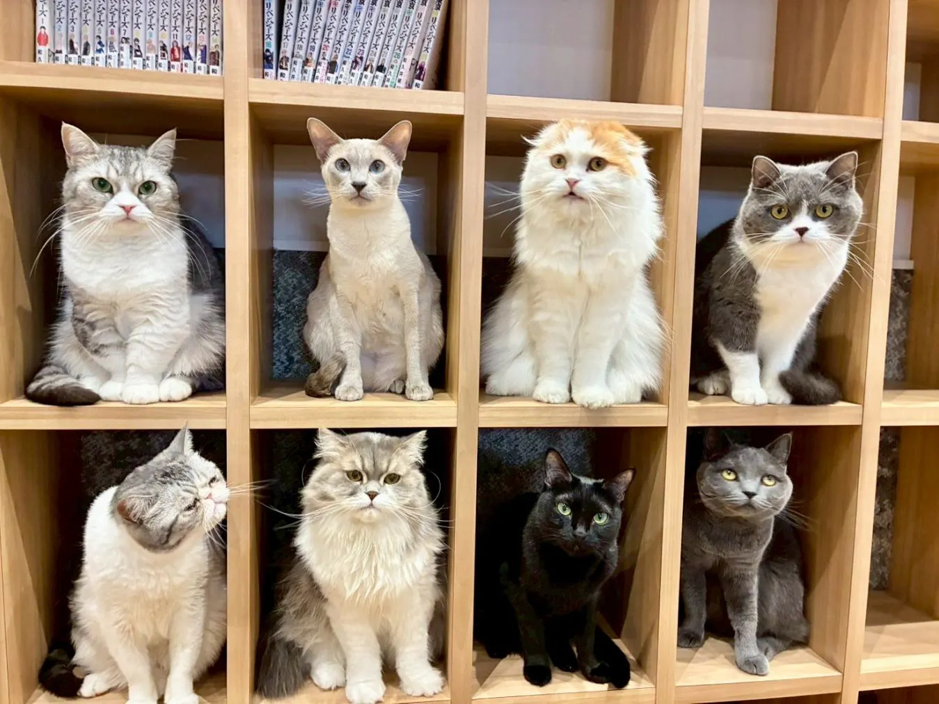 【常滑店に2回目以降来店の方】 最大15％割引・いぬカフェRio イオンモール常滑店（ドリンク飲み放題＋犬おやつ付き）
