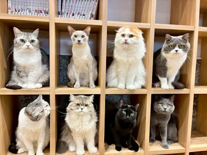 【常滑店に2回目以降来店の方】 最大15％割引・いぬカフェRio イオンモール常滑店（ドリンク飲み放題＋犬おやつ付き）