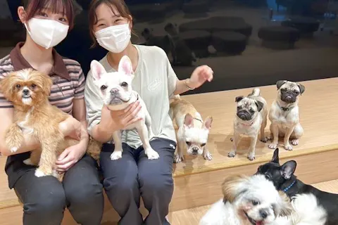 【10％割引】ブサかわいい犬や猫に癒されよう！60分パック（ドリンク飲み放題＋犬おやつ）