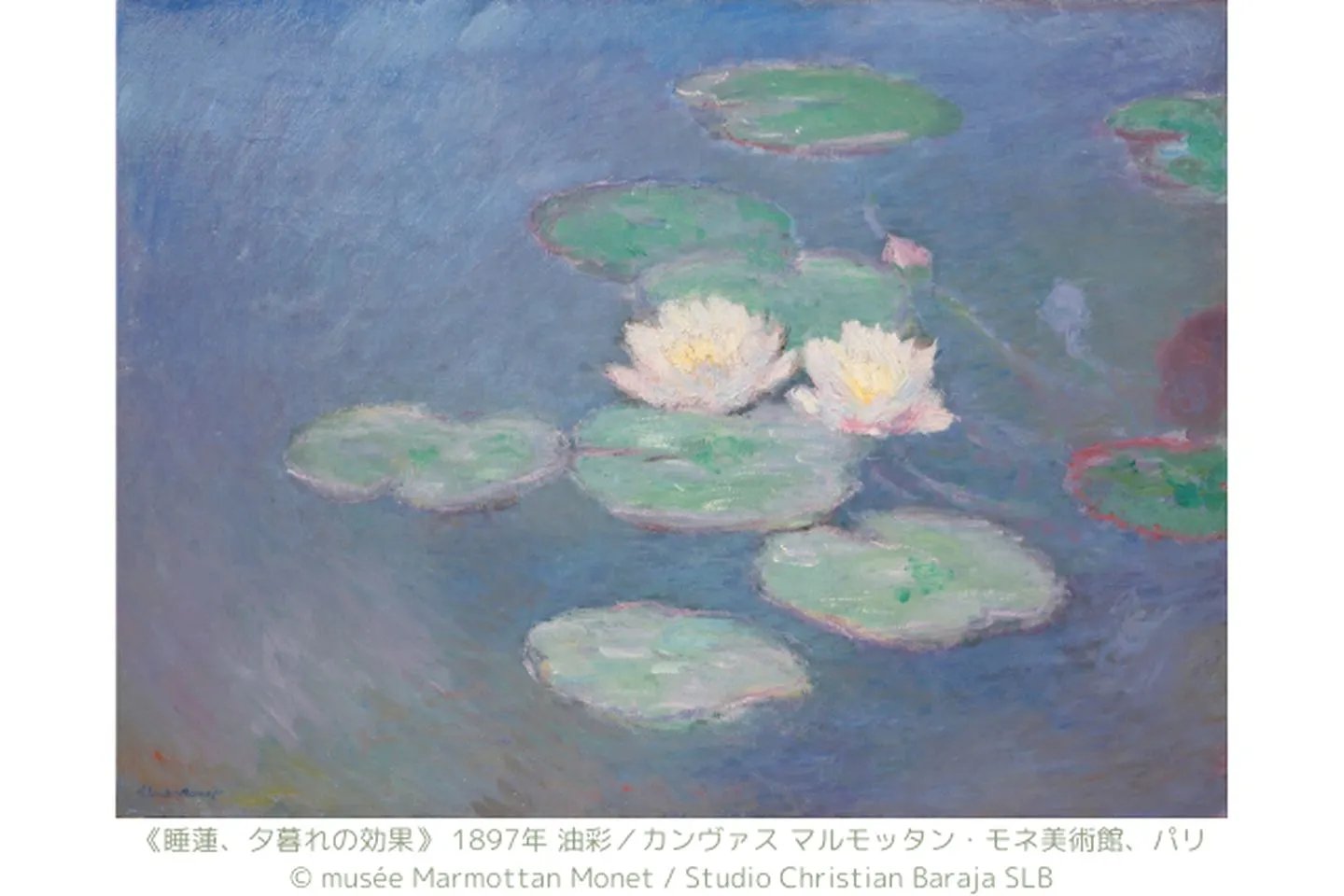 早割券】モネ 睡蓮のとき（豊田会場） 6/21〜9/15 - モネ 睡蓮のとき