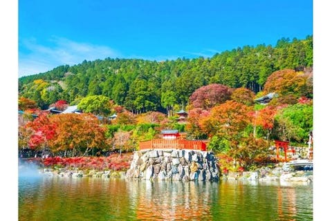 勝ち運の寺 勝尾寺入山券