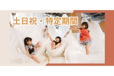 【土日祝・5%割引】1日たっぷり遊び放題！PLAY! PARK（プレイパーク）立川　入場券