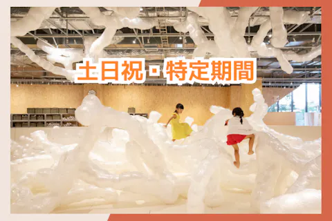 【土日祝・5%割引】1日たっぷり遊び放題！PLAY! PARK（プレイパーク）立川　入場券