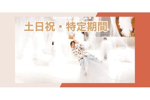 【土日祝・5%割引】1日たっぷり遊び放題！PLAY! PARK（プレイパーク）立川　入場券