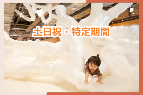 【土日祝・5%割引】こども3時間遊び放題！PLAY! PARK（プレイパーク）立川　入場券