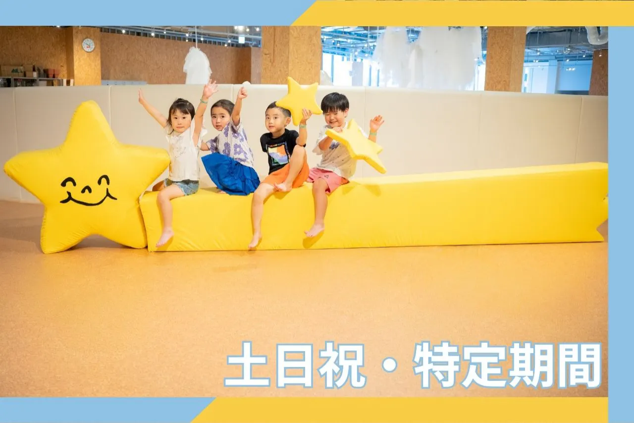 【休日】３時間券　※再入場不可　PLAY! PARK（プレイパーク）立川