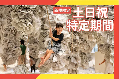 新規限定！5%割引【休日】３時間券　※再入場不可　PLAY! PARK（プレイパーク）立川