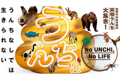 うんち展 -No UNCHI, No LIFE-｜割引チケット・クーポンならアソビュー！