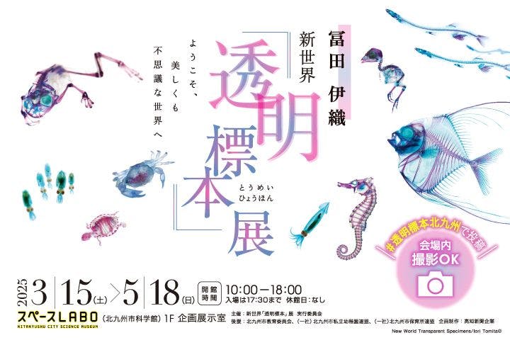 新世界『透明標本』展 ＠北九州市科学館
