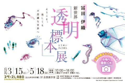 【前売券】新世界『透明標本』展　＠北九州市科学館