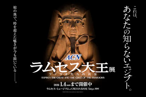 【グループチケット】ACN ラムセス大王展 ファラオたちの黄金