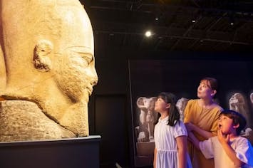 お得な親子割＜前売券＞｜500円/1名OFF】ACN ラムセス大王展 ファラオ