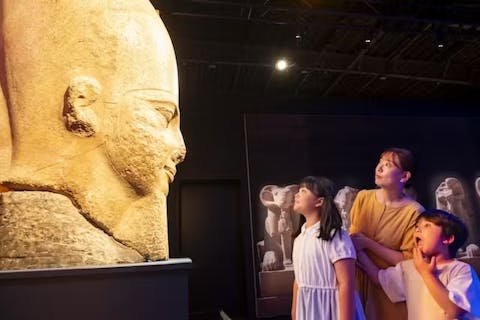 【お得な親子割＜前売券＞｜500円/1名OFF】ACN ラムセス大王展 ファラオたちの黄金