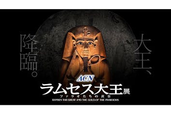 前売｜土日祝・特定日｜入場+マルチメディアガイド付き】ACN ラムセス