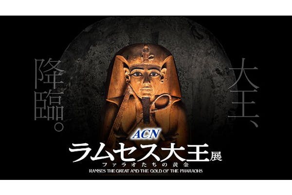 前売｜土日祝・特定日｜入場+VR付きチケット】ACN ラムセス大王展
