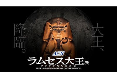 当日｜平日｜入場+マルチメディア（音声）ガイド付き】ACN ラムセス