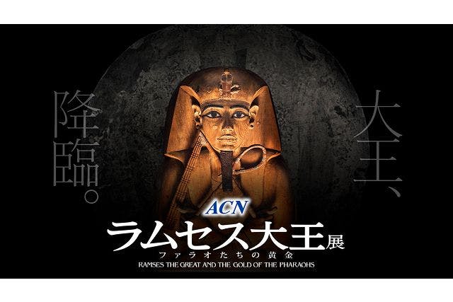 【ナイトミュージアム】ACN ラムセス大王展 ファラオたちの黄金