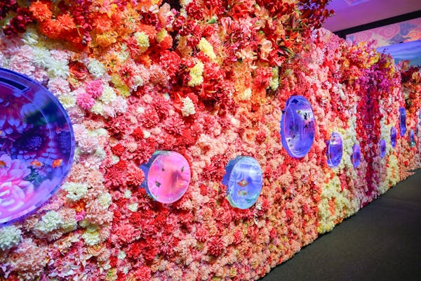 【激レア】アムネシア、ウキョウ、オトメイトガーデン、展示パネル 激レア】アムネシア、ウキョウ、オトメイトガーデン、展示パネル 激