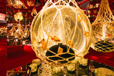 【2026年】沖縄金魚ミュージアム　入場券