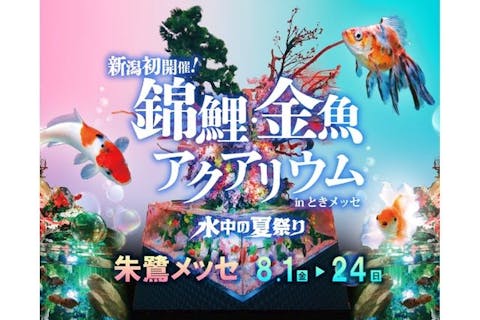 【当日券】錦鯉・金魚アクアリウム in ときメッセ