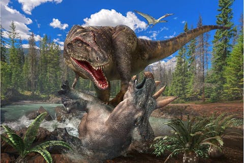 【前売券】大恐竜展  @サッポロファクトリー３条館　３階特設会場（7/18~9/7）