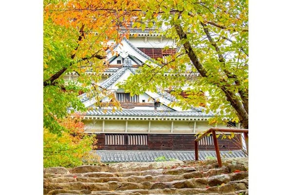 広島城 電子チケット（観覧券）～2026年3月閉城！天守に登るなら今