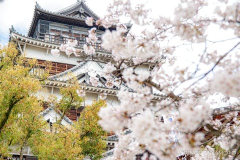 広島城　電子チケット（観覧券）～2026年3月閉城！天守に登るなら今！～