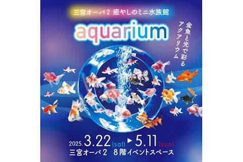【入場券】三宮オーパ２ 癒しのミニ水族館 aquarium