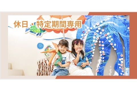 【5％割引　休日・特定期間　時間券（3部入替制）】プレイパークエリックカール入場券