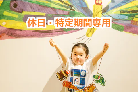 【5％割引　休日・特定期間　時間券（3部入替制）】プレイパークエリックカール入場券