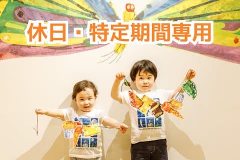 【5％割引　休日・特定期間　時間券（3部入替制）】プレイパークエリックカール入場券