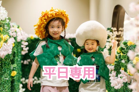 【平日最大10％割引】1日遊び放題！プレイパークエリックカール入場券＊10月