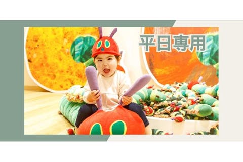 【平日最大10％割引・購入1時間後から利用可】1日遊び放題！プレイパークエリックカール入場券＊10月