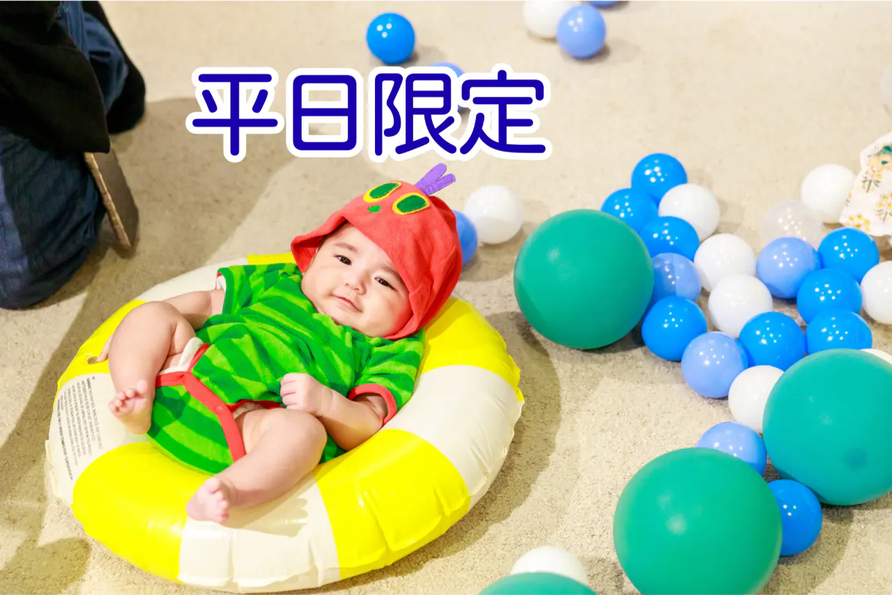 新規限定！5%割引【平日・1日券】プレイパークエリックカール入場券