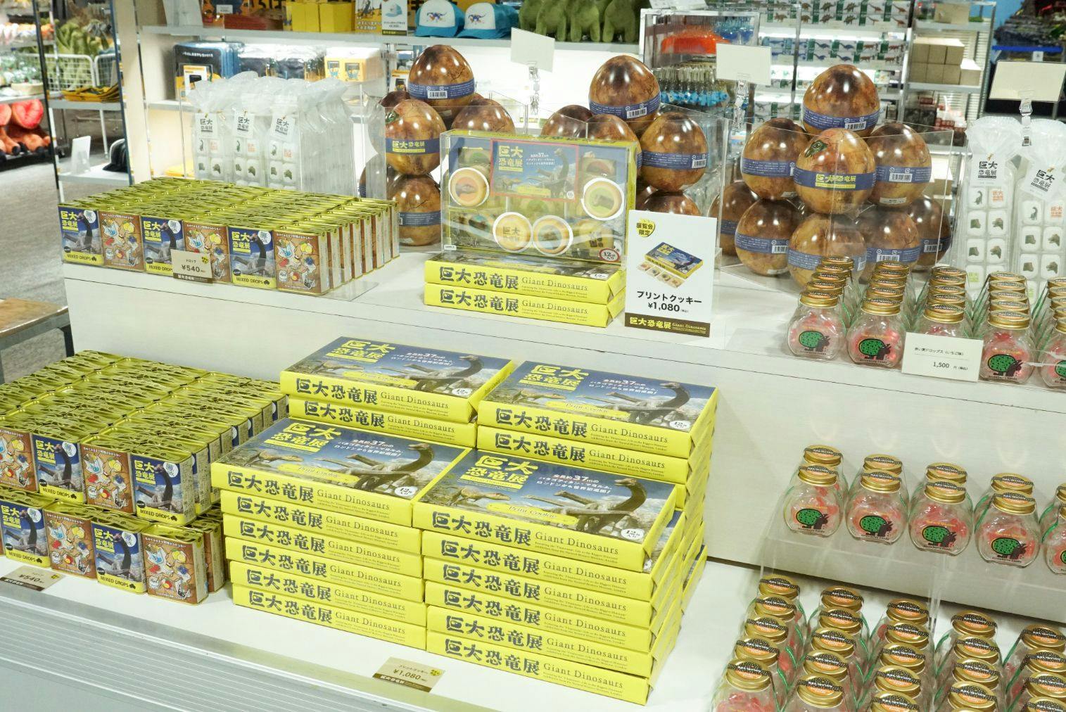 巨大恐竜展チケット 入場券巨大恐竜展 2025 @大阪南港ATCホール｜アソビュー！