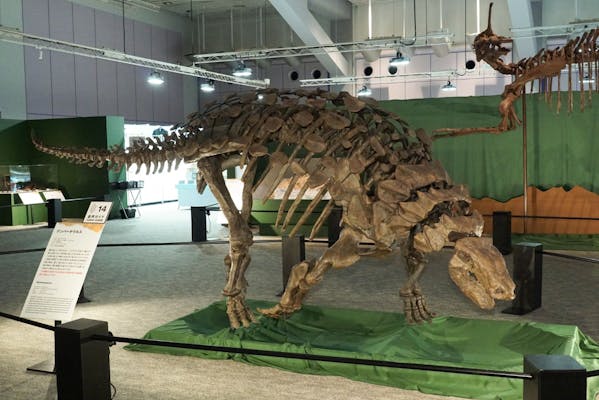 T　巨大恐竜展　大英自然史博物館オリジナルグッズセット 巨大恐竜展 大英自然史博物館オリジナルグッズセット - メルカリ