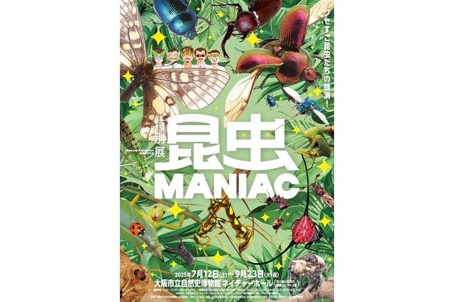 【前売券】特別展 『昆虫 MANIAC』 @大阪市立自然史博物館