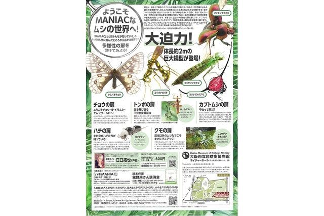 特別展 昆虫 MANIAC 限定チケット オリジナル 蚕蛾 カイコ ぬいぐるみ 当日券特別展 『昆虫 MANIAC』 @大阪市立自然史博物館 - 特別展