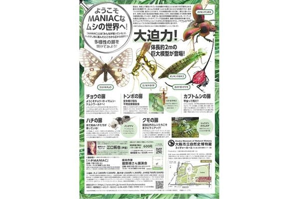 当日券】特別展 『昆虫 MANIAC』 @大阪市立自然史博物館