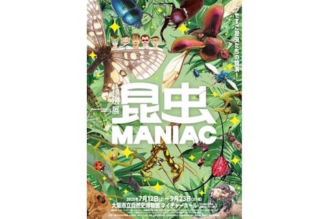 【ペア券】特別展 『昆虫 MANIAC』 @大阪市立自然史博物館